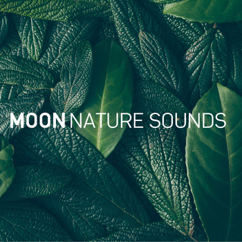 Moon Tunes and Moon Nature Sounds - Deep Sleep (8D Audio)