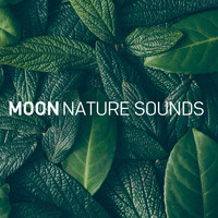 Moon Tunes and Moon Nature Sounds - Zen Ocean (8D Audio)