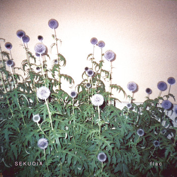 Sekuoia - Flac (Bonus Track Version)