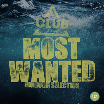 Various Artists - Most Wanted - Big Room Selection, Vol. 24