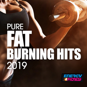 Various Artists - Pure Fat Burning Hits 2019