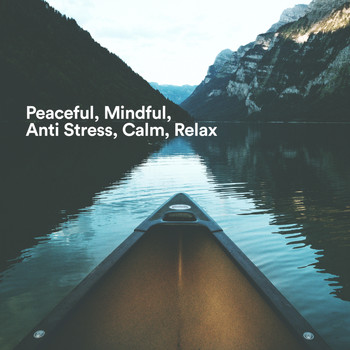 Various Artists - Peaceful, Mindful, Anti Stress, Calm, Relax
