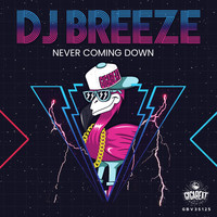 DJ Breeze - Never Coming Down