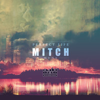 Mitch Hunt - Perfect Life