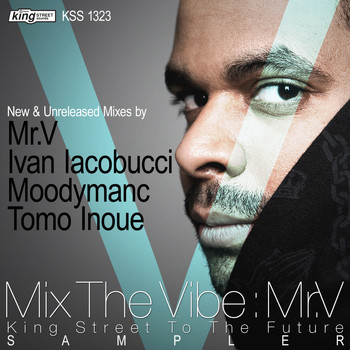 Various Artists - Mix The Vibe: Mr. V Sampler