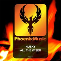 Husky - All The Wiser