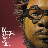 Ty - Special Kind of Fool