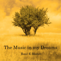 Raul E Blanco - The Music in My Dreams