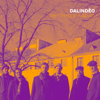 Dalindèo - Rhythm of Kallio Incl. Mr Bird Remix