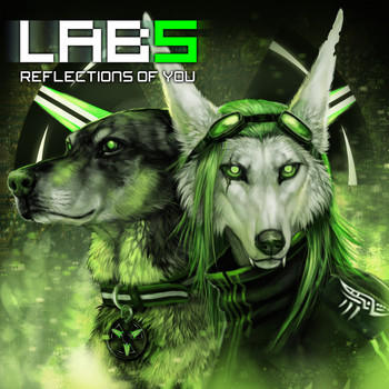 Laboratory 5 - Reflections Of You