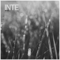 INTE - In Fog