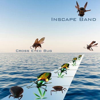 Inscape Band - Cross Eyed Bug