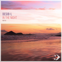 Desib-L - In the Night