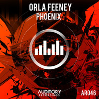 Orla Feeney - Phoenix