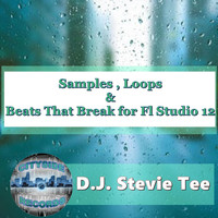 D.J. Stevie Tee - Samples, Loops & Beats That Break for Fl Studio 12