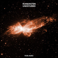 Frankinstein - Undisturbed