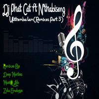 Dj Phat Cat - Ulithemba lam (feat. Nthabiseng) [Remixes, Pt. 3]