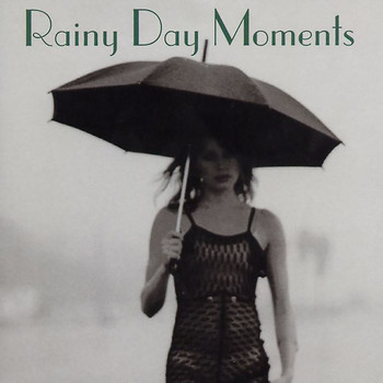 Various Artists - Rainy Day Moments