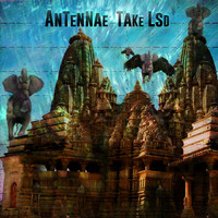 an-ten-nae - Take LSD