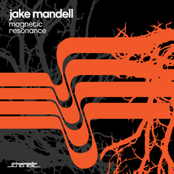 Jake Mandell - Jake Mandell - Magnetic Resonance