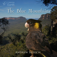 Andrew Skeoch - The Blue Mountains