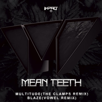 Mean Teeth - Multitude / Blaze (Remixes)