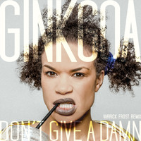Ginkgoa - Don't Give a Damn (Varrick Frost Remix)