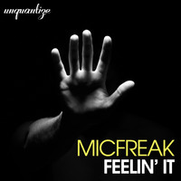 micFreak - Feelin' It (The Album)