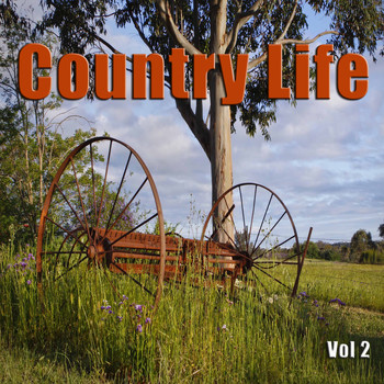 Various Artists - Country Life, Vol. 2