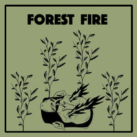 Wintersleep - Forest Fire