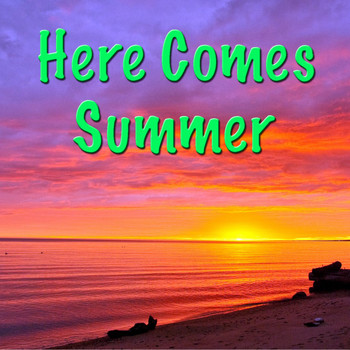 Various Artists - Here Comes Summer