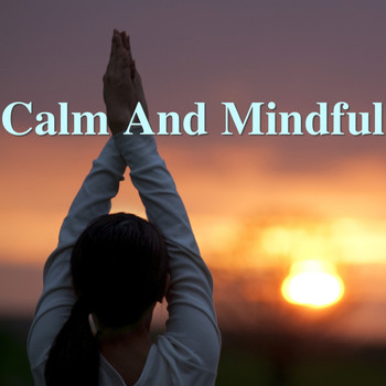 Various Artists - Calm And Mindful