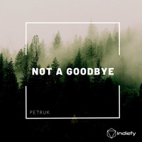 Petruk - Not A Goodbye