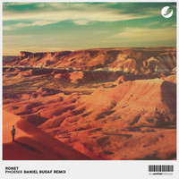 Ronet - Phoenix (Daniel Budaf Remix)