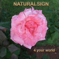 Naturalsign - 4 Your World