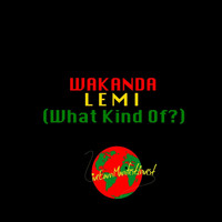 LeMi - Wakanda (What Kind Of?) (Explicit)