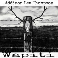 Addison Lea Thompson - Wapiti