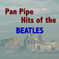 Tony Skeggs - Pan Pipe Hits Of The Beatles