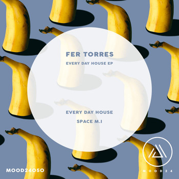 Fer Torres - Everyday Is House