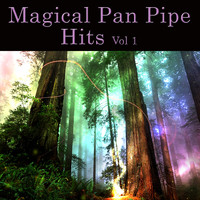 Wolfgang Remo - Magical Pan Pipe Hits Vol. 1