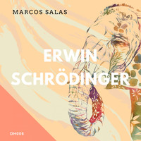 Marcos Salas - Erwin Schrödinger