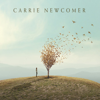 Carrie Newcomer - The Point of Arrival