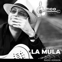 Tico Gonzalez - Aunque Se Pare la Mula (Radio Mix)