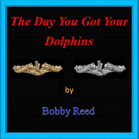 Bobby Reed - The Day You Got Your Dolphins