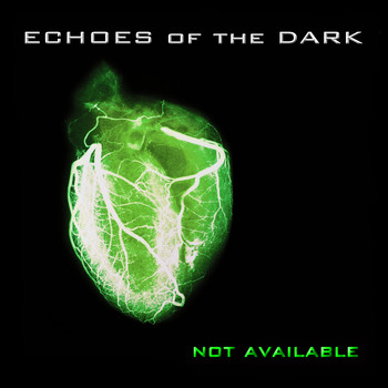 Echoes Of The Dark - Not Available
