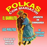 Mariachi Oro De Mexico - Polkas Con Mariachi