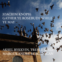 Joachim Knoph - Gather Ye Rosebuds While Ye May