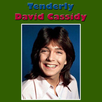 David Cassidy - Tenderly (Live)