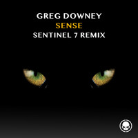 Greg Downey - Sense (Sentinel 7 Remix)