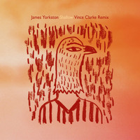 James Yorkston - Shallow (Vince Clarke Remix)